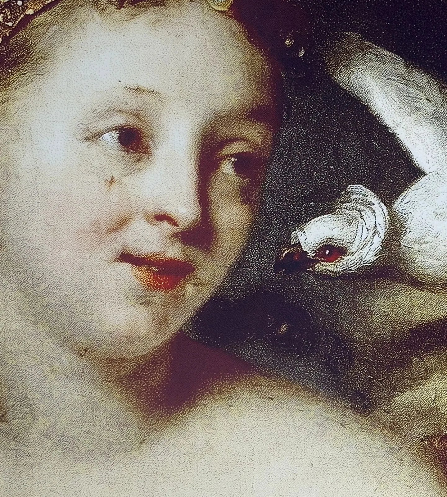 Close-up of the fine pigment texture on a Spectra 6 e-paper image